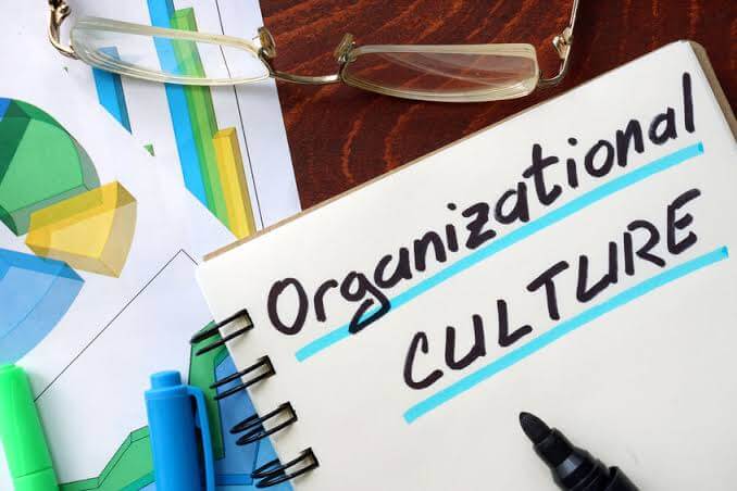 Organizational Culture: Building High Perfoming Teams.